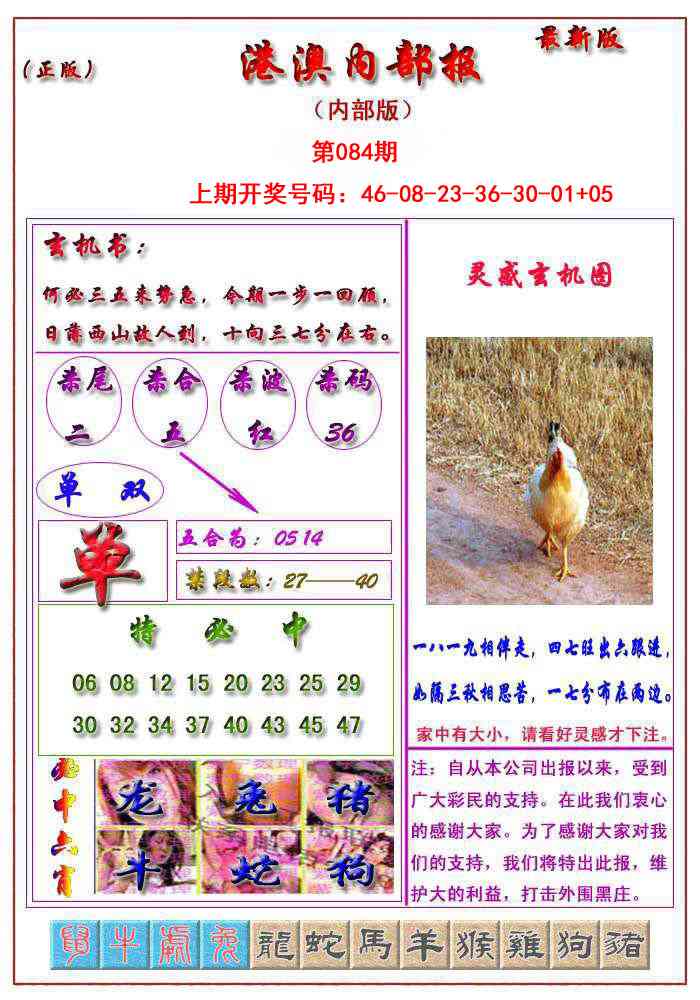 084期港澳报[图]